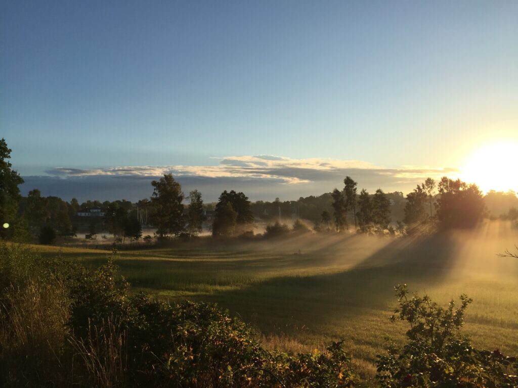 Äng utan för Runö Möten & Events