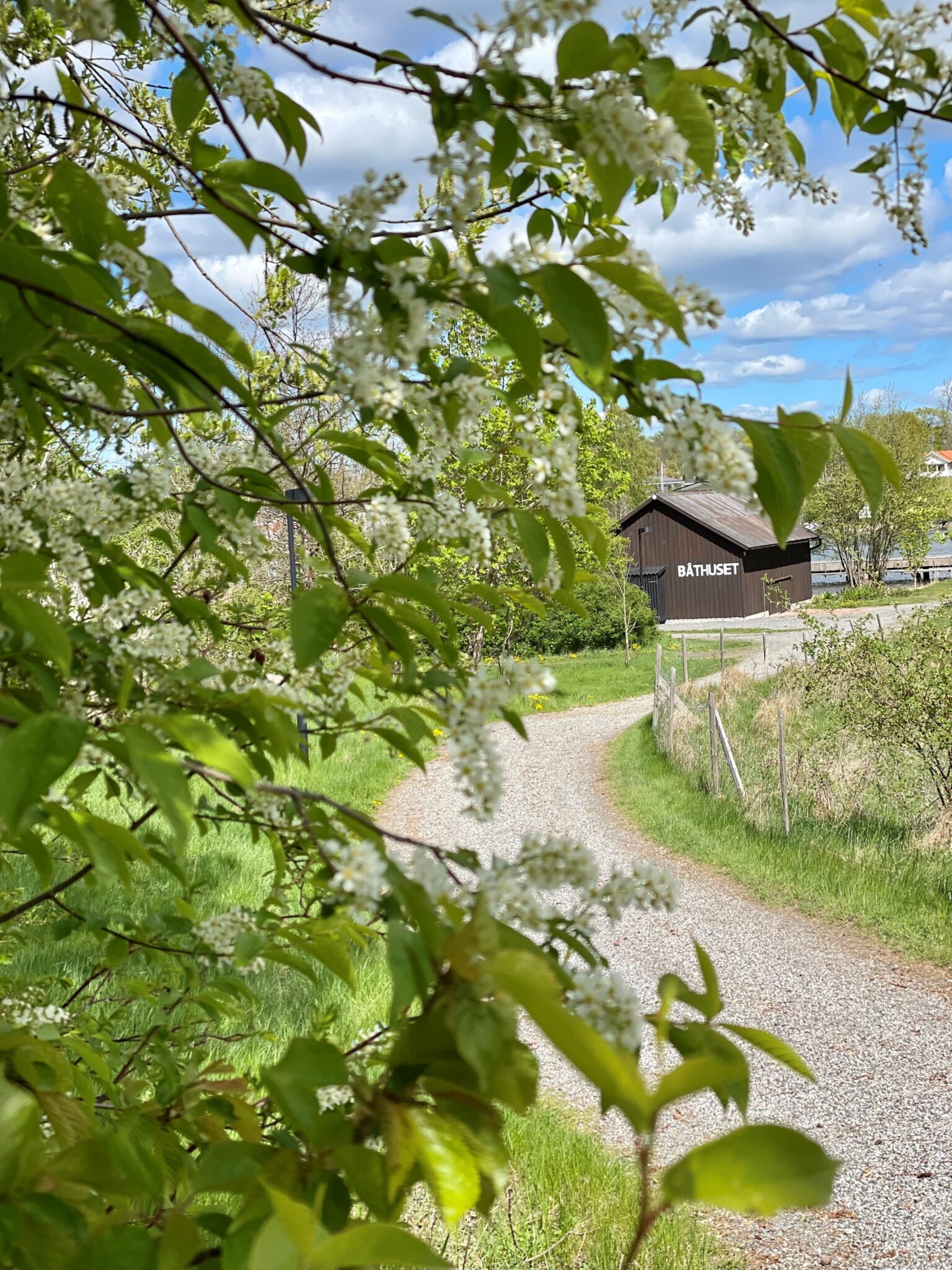 Vår vid Båthuset